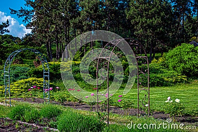 Garden iron forged arch surrounded by flower bed. Stock Photo