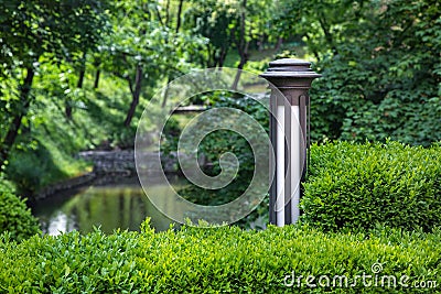 Garden iron lantern with white diffuser of street lighting in deciduous boxwood bush. Stock Photo