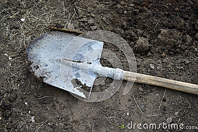 Garden iron shovel on the background of excavated soil Stock Photo