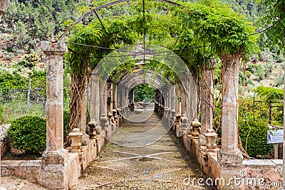 The garden of jardines de alfabia Stock Photo