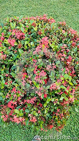 Garden at Konark Sun Temple, Odisha - A UNESCO World Heritage Site. Stock Photo