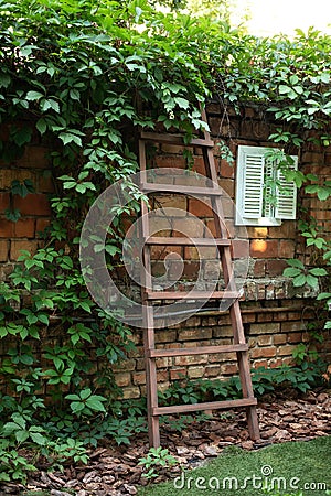 Garden ladder leaning against wall in Park, preparations for harvest season. Pruning gardening high green plants. Concept home gar Stock Photo