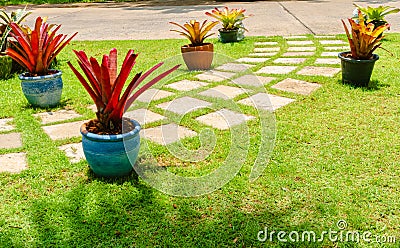 Garden landscape design with pathway intersecting bright green lawns and shrubs white sheet walkway in the garden. Stock Photo