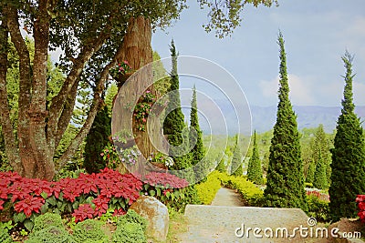 Garden Landscape Stock Photo