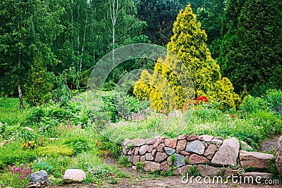Garden Landscaping Design. Flower Bed, Green Trees Stock Photo