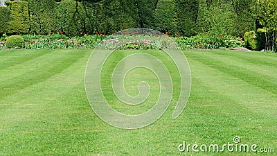 Garden Lawn Stock Photo