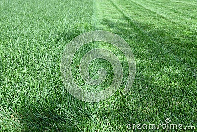Emerald green lawn mowing landscape maintenance Stock Photo