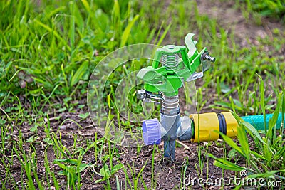 Garden lawn sprinkler. Automatic garden watering system Stock Photo