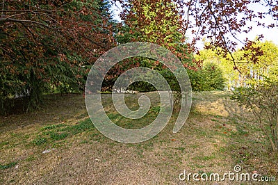 Garden with lawn and trees Stock Photo