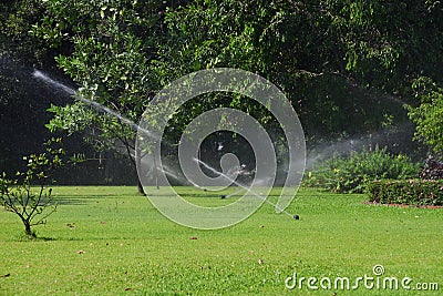 Garden lawn water sprinkler. Stock Photo