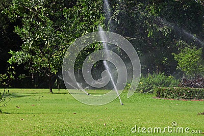 Garden lawn water sprinkler. Stock Photo