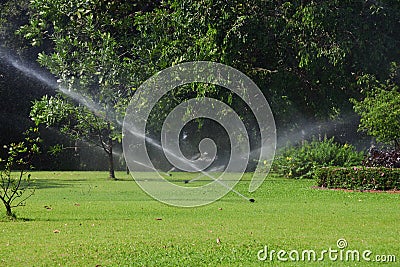 Garden lawn water sprinkler. Stock Photo