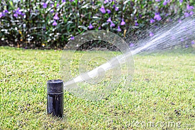 Garden lawn water sprinkler system Stock Photo