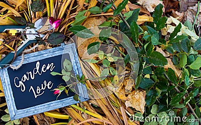 Garden Love fall rose Gardening background card photography Stock Photo