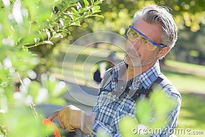 Garden maintenance in progress Stock Photo