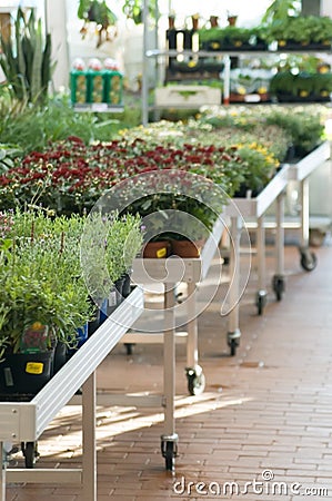 Garden market Stock Photo