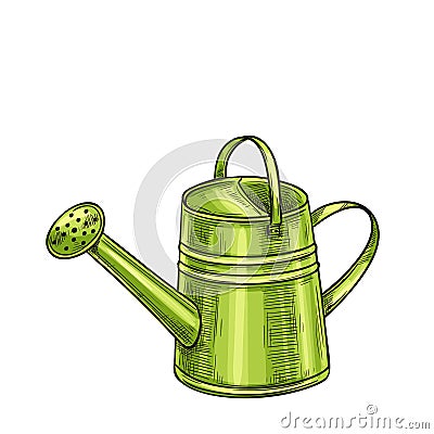 Garden metal watering can. Vector Illustration