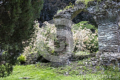 Garden of Ninfa in Italy in province of Latina and the arch of one ruined construction of the medieval city Ninfa. Editorial Stock Photo