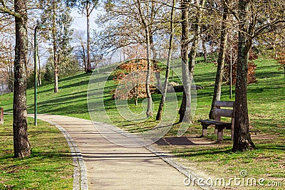 Garden or park bench near an empty dirt path, track, trail or pathway through the trees and green grass lawn Stock Photo
