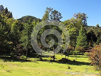 Garden of Peace in Hogsback Arboretum, South Africa Editorial Stock Photo