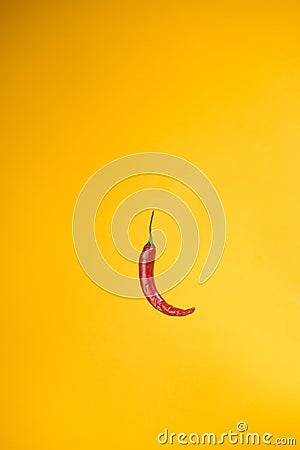 Garden red pepper isolated on yellow background Stock Photo