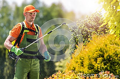 Garden Plants Insecticide Stock Photo