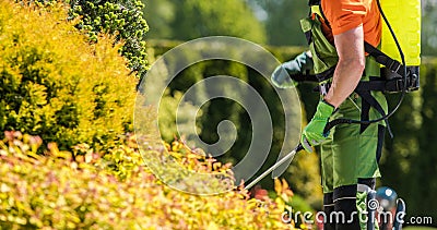 Garden Plants Spraying Insecticide by Caucasian Gardener Stock Photo