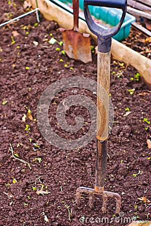 Garden Plot with Garden Tools Stock Photo