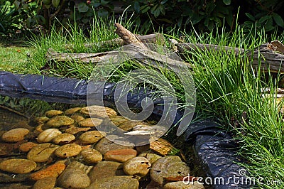 Garden Pond Stock Photo