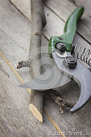 Garden pruner with plastic handles on a wooden table. Graftage Stock Photo
