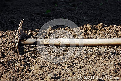 Garden rakes lying on the ground tines up. Repeated mistakes Stock Photo