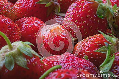 Garden red Strawberries. Natural, juicy, bright Strawberries for concept design. Harvest strawberry. Stock Photo