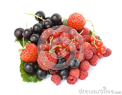 Garden ripe berries Stock Photo