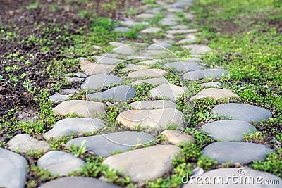 A garden road paved with natural stones surrounded with young grass Stock Photo