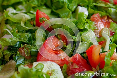 Garden salad Stock Photo