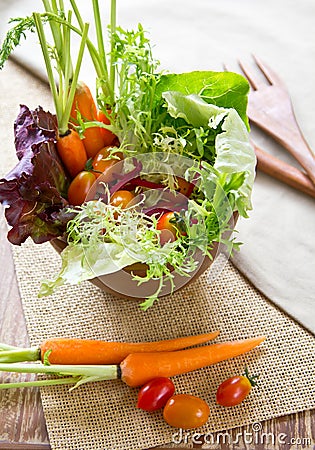 Garden salad bowl Stock Photo