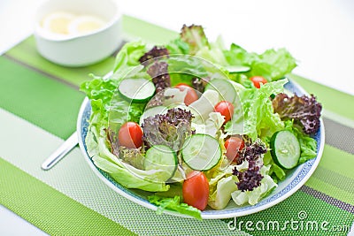 Garden Salad Stock Photo