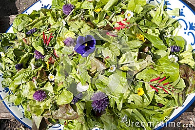 Garden salad with eatable flowers Stock Photo