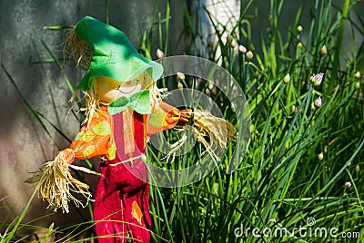 A garden scarecrow with a hat - a fun decoration made of rags and straw. near growing onion with arrows Stock Photo