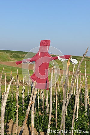 Garden scarecrow in a garden, scarecrow made of human clothing Stock Photo