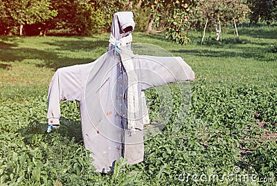 Garden scarecrow made of old clothing standing in the field at summer Stock Photo