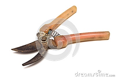 Garden Shears Stock Photo