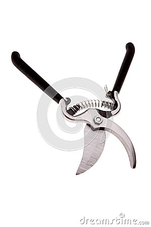 Garden shears Stock Photo