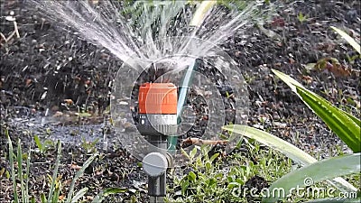 3 Armed Garden Sprinkler Lawn Watering Grass Flower Hose Pipe 3 Nozzles Amtech 