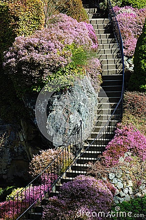 Garden stairway Stock Photo