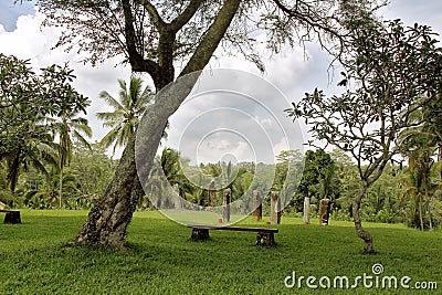 Garden of stones and tranquility. Place of relaxation in the jungle. Stone bench Palm trees and lawn with grass. Vertically stand Stock Photo