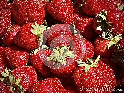 Garden Strawberries in a Box Stock Photo