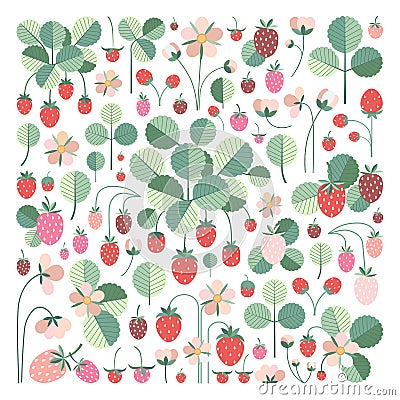 Garden Strawberry Set with Red Berries and Twigs Vector Illustration