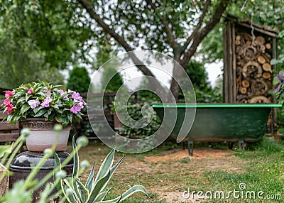 The garden in summer, various plants and flowers, the concept of gardening as a hobby, garden decoration in the background Stock Photo