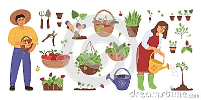Garden supplies. A set of plants and gardeners. Pruning shears, potted plants, seedlings. Fruit baskets, apples, pears. Flat Vector Illustration